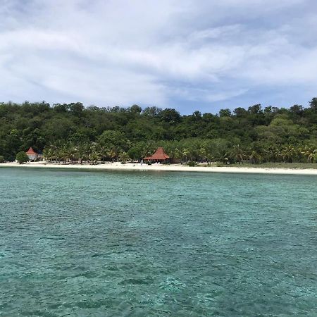 Eco Dive Resort Alycastre Maumere Eksteriør billede