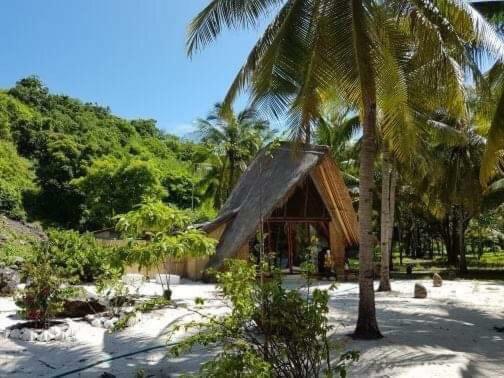 Eco Dive Resort Alycastre Maumere Eksteriør billede
