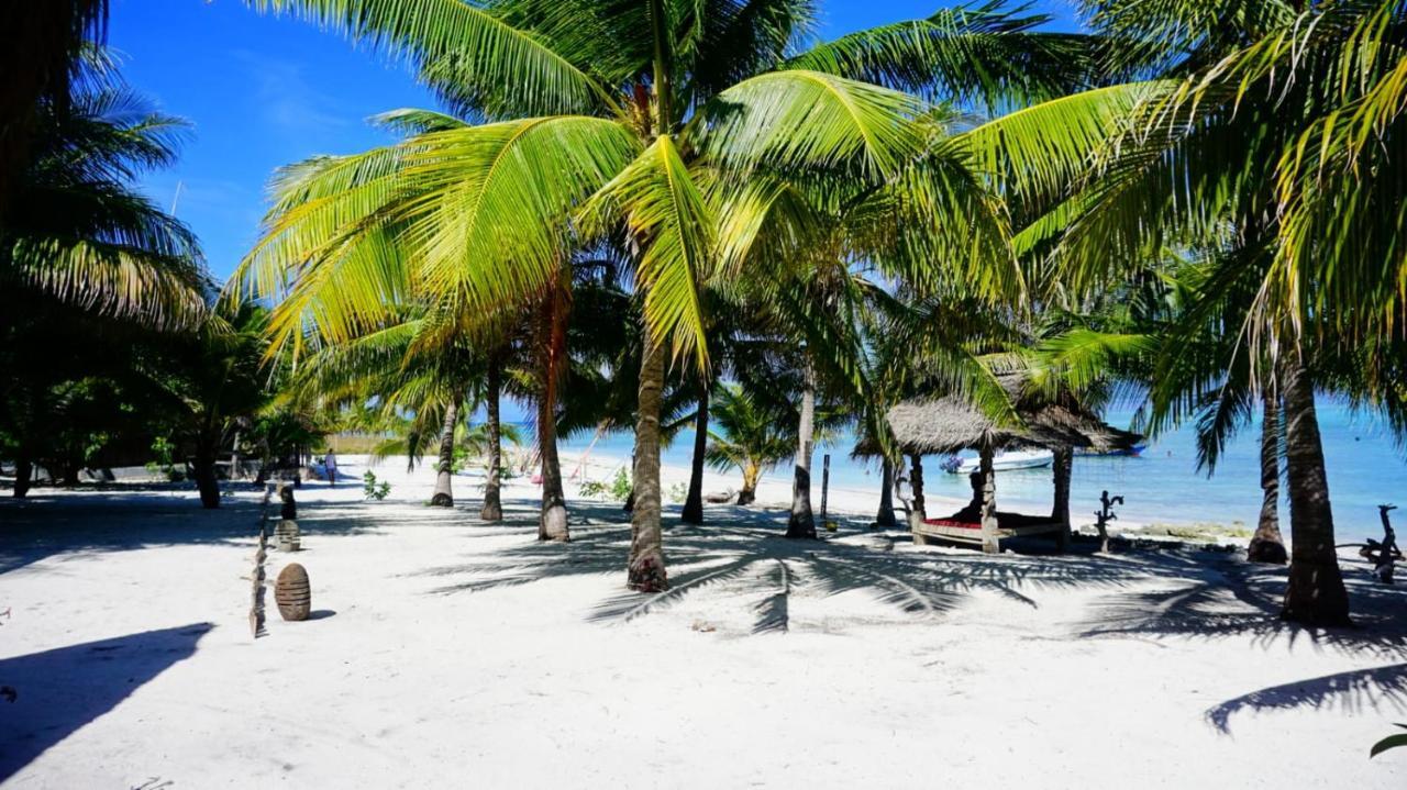 Eco Dive Resort Alycastre Maumere Eksteriør billede